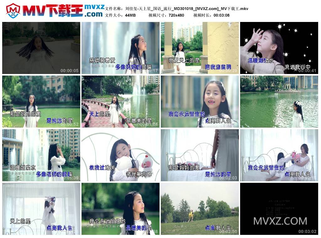 刘佳玺-天上星_国语_流行_MD301018